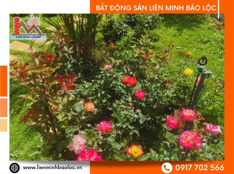 Bán homestay Bảo Lộc nghỉ dưỡng tại Bảo Lộc
