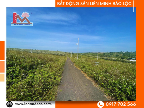 BLD883-Đất Nền Nguyễn Thái Bình Lộc Phát Bảo Lộc