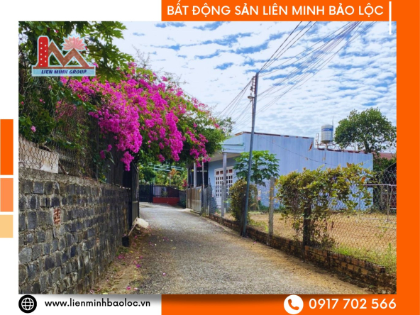 BLD895-Đất Thổ Cư Trần Phú Lộc Sơn Bảo Lộc