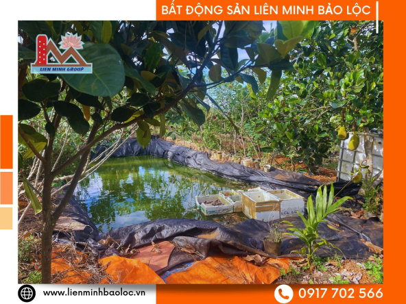 BLN240-Nhà Mặt Tiền Sẵn Thổ Cư Đambri Bảo Lộc