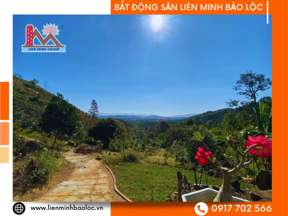 BLN277-Đất Sẵn Nhà Nguyễn Công Trứ P1 Bảo Lộc