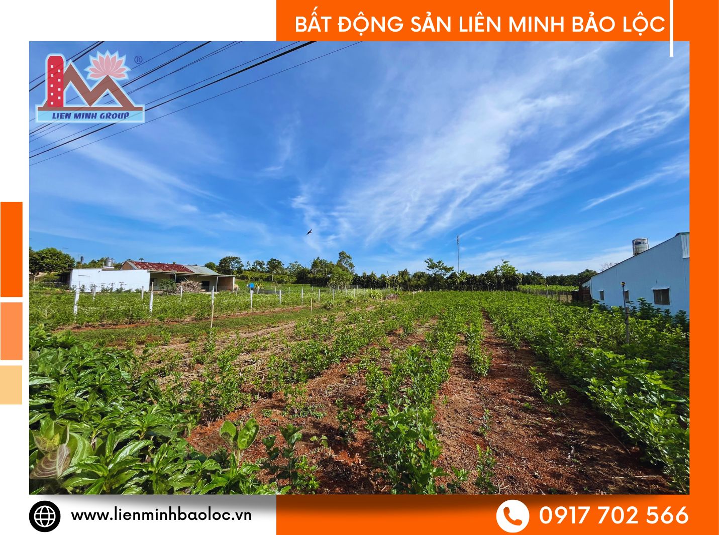 Đất Bảo Lộc giá rẻ