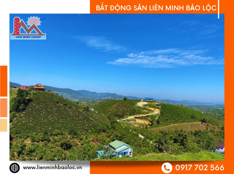 Bất động sản nghỉ dưỡng Bảo Lâm giá rẻ