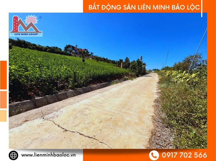Bán đất thổ cư Nguyễn Thanh Ba Đambri Bảo Lộc