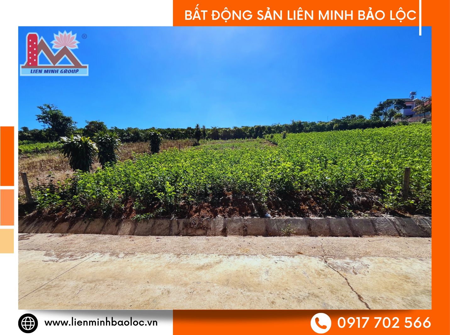 Bất động sản Bảo Lộc giá rẻ