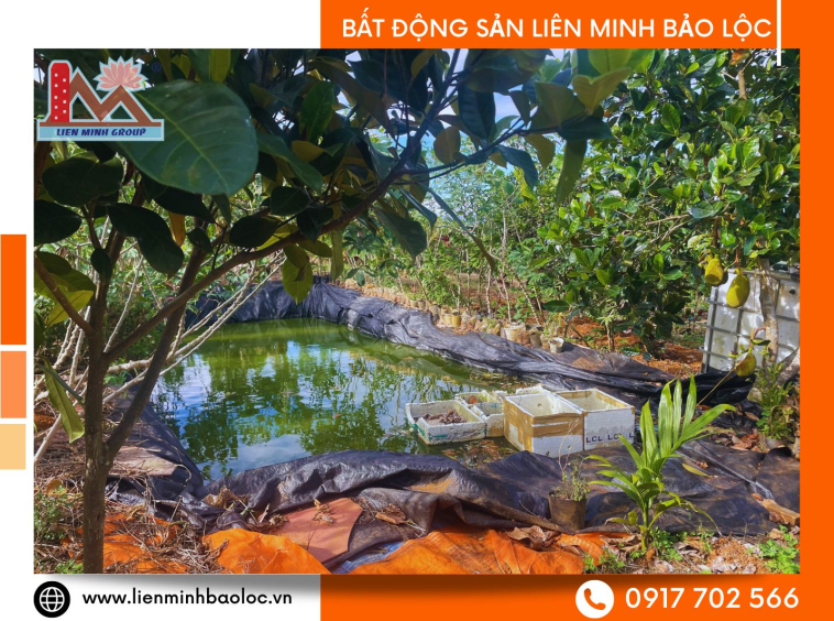 Bán vườn Bảo Lộc giá rẻ