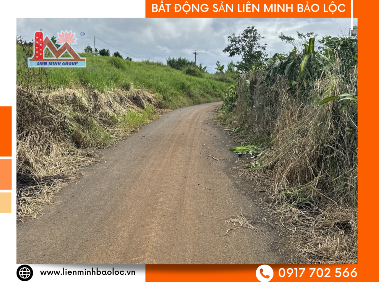 Bán Đất Nền Phân Lô Bảo Lâm Giá Rẻ