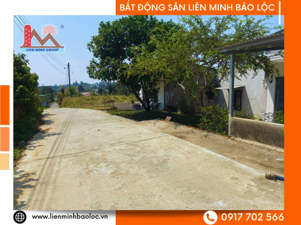 BLD966-Đất Vườn Tân Hóa Lộc Nga Bảo Lộc 3382m2 Chỉ 900 Triệu