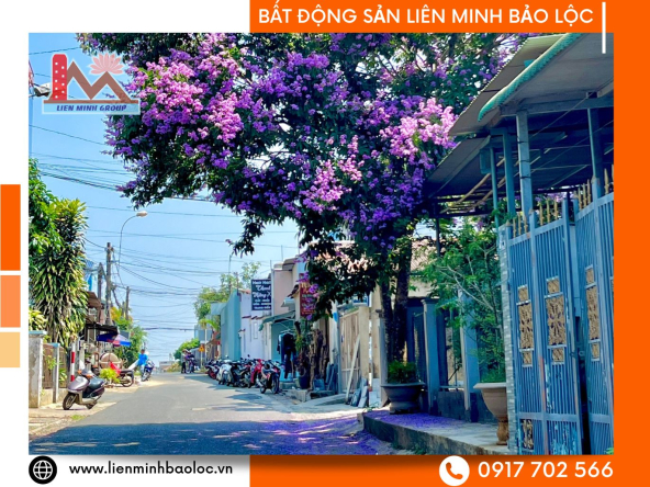 BLD968-Đất Phan Huy Chú BLao Bảo Lộc