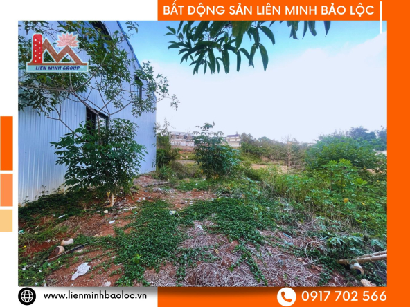 BLD974-Đất Trần Phú Lộc Sơn Bảo Lộc