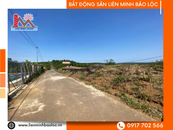 BLD977-Đất Thổ Cư Lộc Ngãi Bảo Lâm Chỉ 480 Triệu