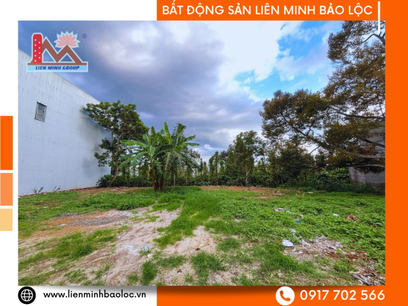 BLD979-Đất Yên Thế Phường 2 Bảo Lộc