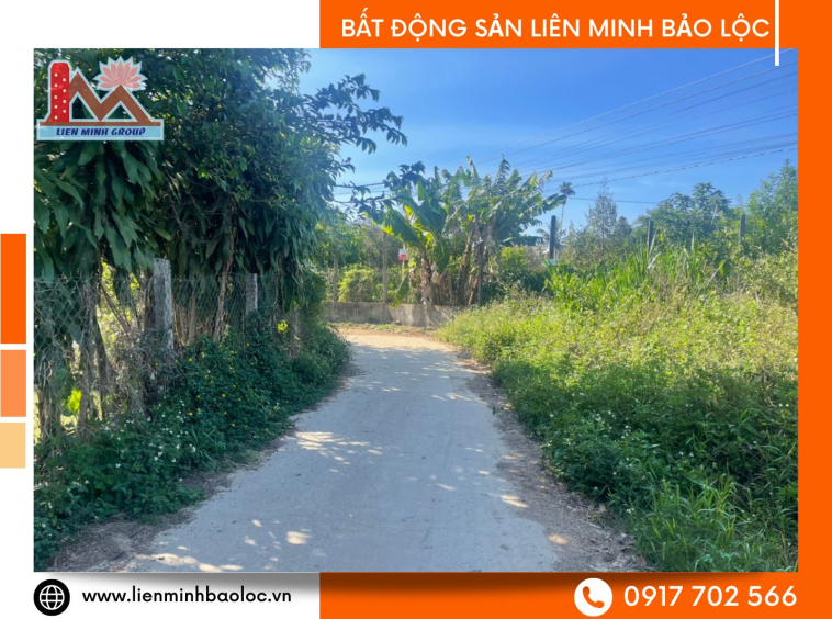 Bất động sản Bảo Lộc giá rẻ