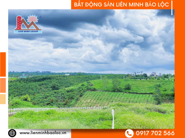 BLD850 Bán Đất KPL Sunset View Point Nguyễn Văn Cừ