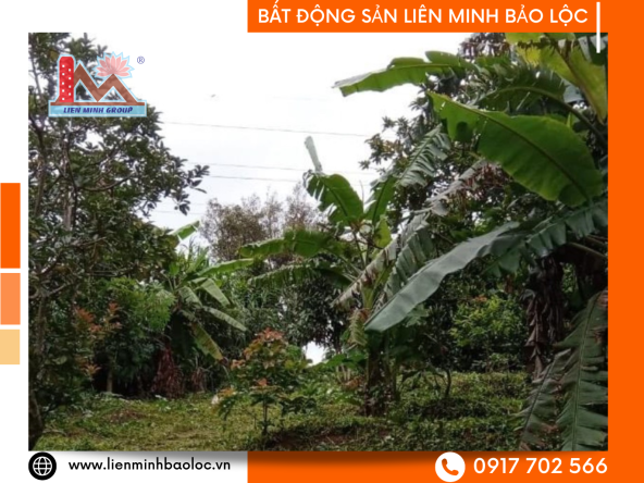 BLD832 Bán Đất Lộc An - Bảo Lâm