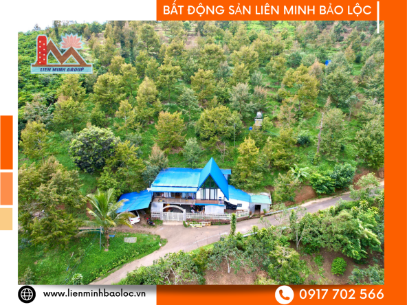 BLD845 Bán Đất Sào Bảo Lâm Giá Rẻ - Tân Lạc