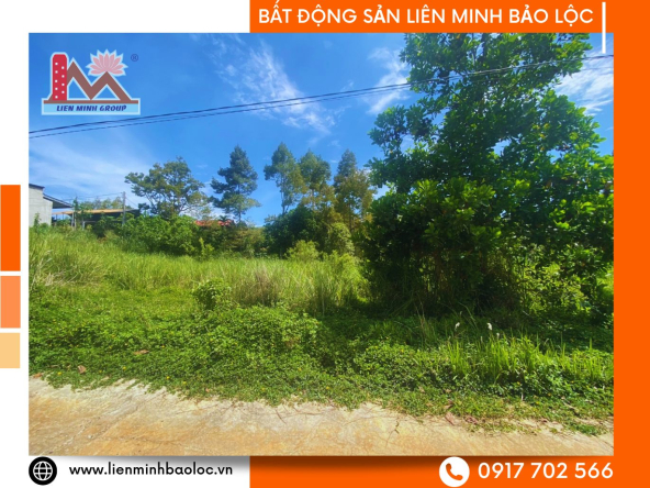 BLD1004-Bán Đất Đinh Công Tráng Lộc Châu Bảo Lộc