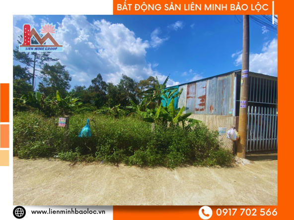 BLD1005-Bán Đất Trung Tâm Blao Bảo Lộc