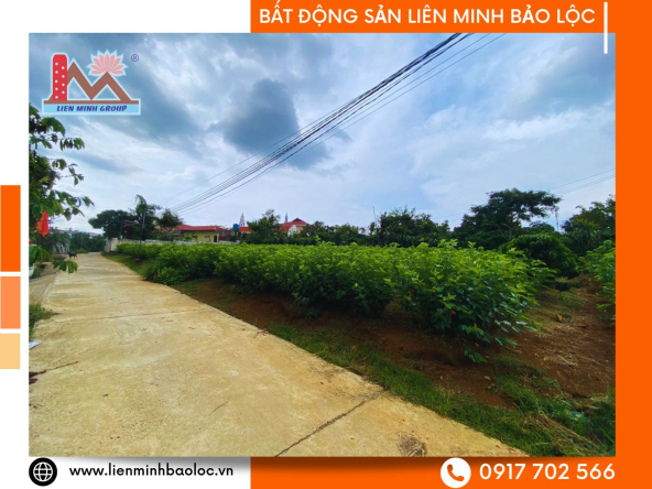 BLD1008-Bán Đất Lý Thái Tổ Đambri Bảo Lộc