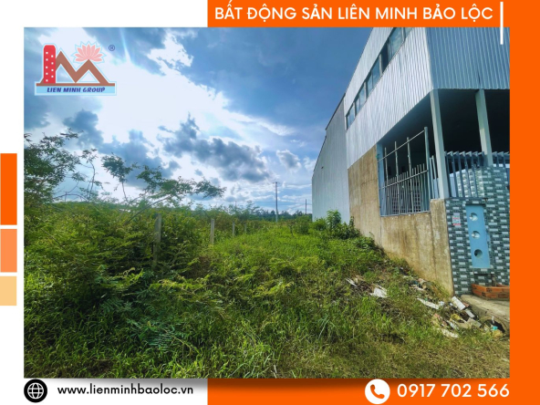 BLD1017-Bán Đất Full Thổ Cư Lộc Châu Bảo Lộc