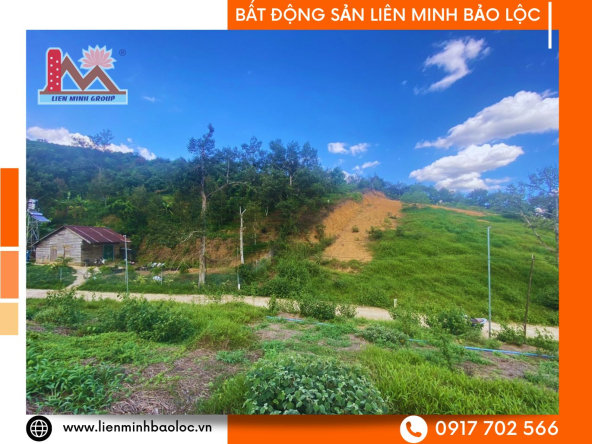 BLD1019-Bán Đất Sào Tân Lạc Bảo Lâm