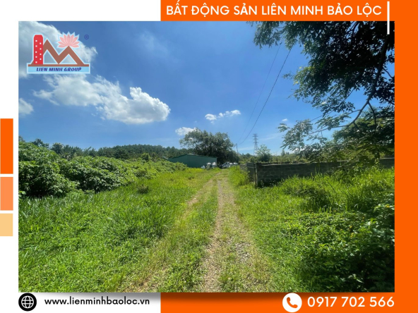 BLD1020-Bán Đất Tô Hiến Thành Lộc Châu Bảo Lộc