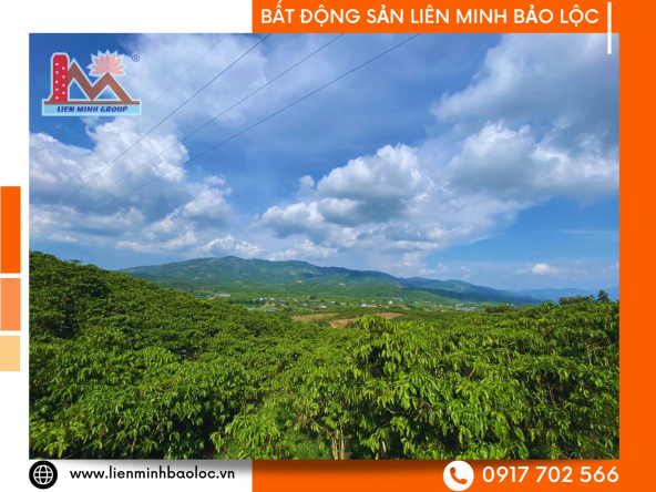 BLD1022-Bán Đất Sào Phan Huy Ích Lộc Châu Bảo Lộc