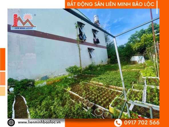 BLD1025-Bán Đất 2 Mặt Tiền Blao Bảo Lộc