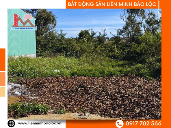 BLD981-Đất Thổ Cư Lộc Phát Bảo Lộc