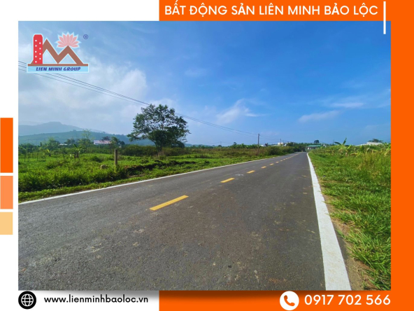 BLD989-Bán Đất Mặt Tiền Đinh Công Tráng, Lộc Châu, Bảo Lộc