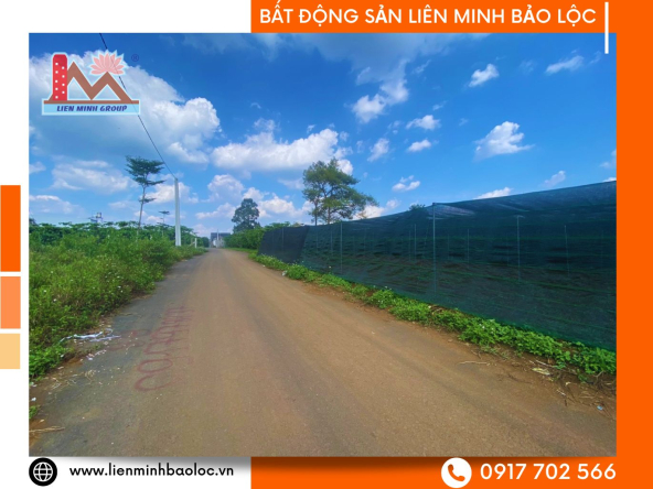 BLD991-Bán Đất Nguyễn Đình Chiểu, Lộc Phát Bảo Lộc