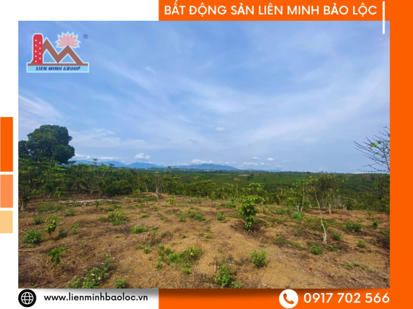 BLD993-Bán Đất Sào Lạc Long Quân Lộc Nga Bảo Lộc