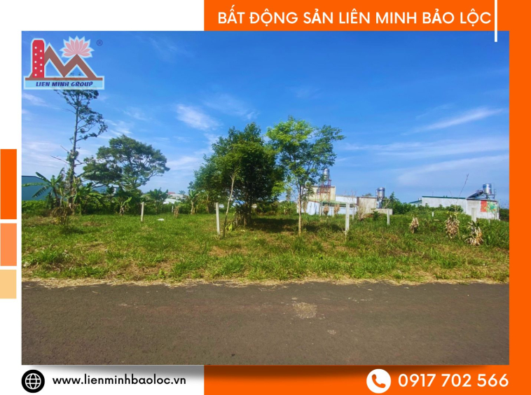 Bất động sản Đambri Bảo Lộc
