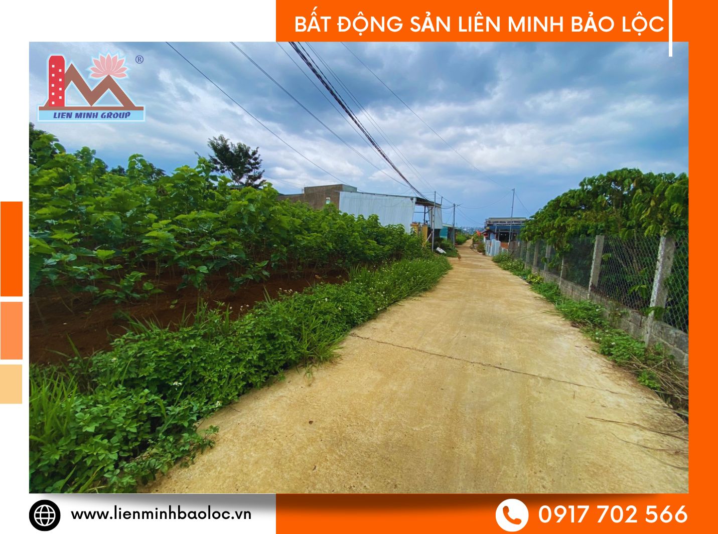 Bán đất đambri Bảo Lộc