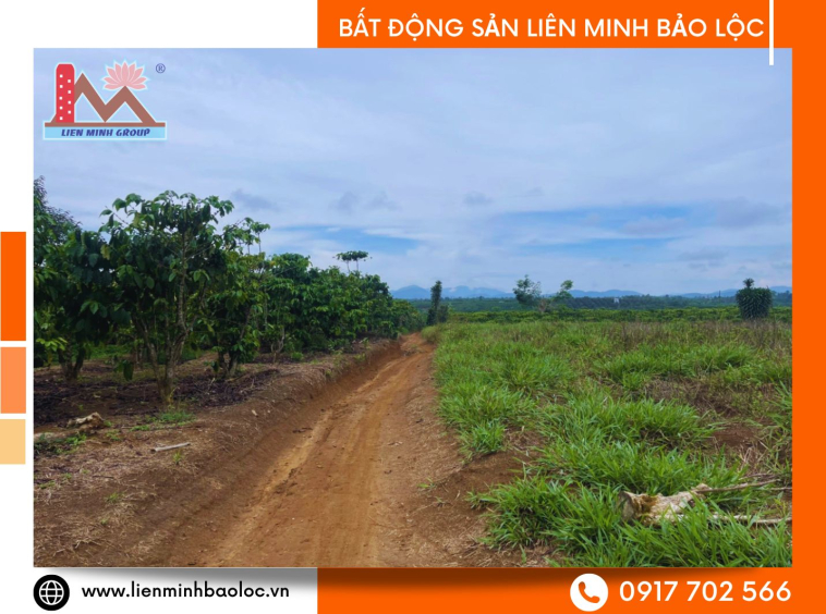 Bán đất sào Lộc An Bảo Lâm