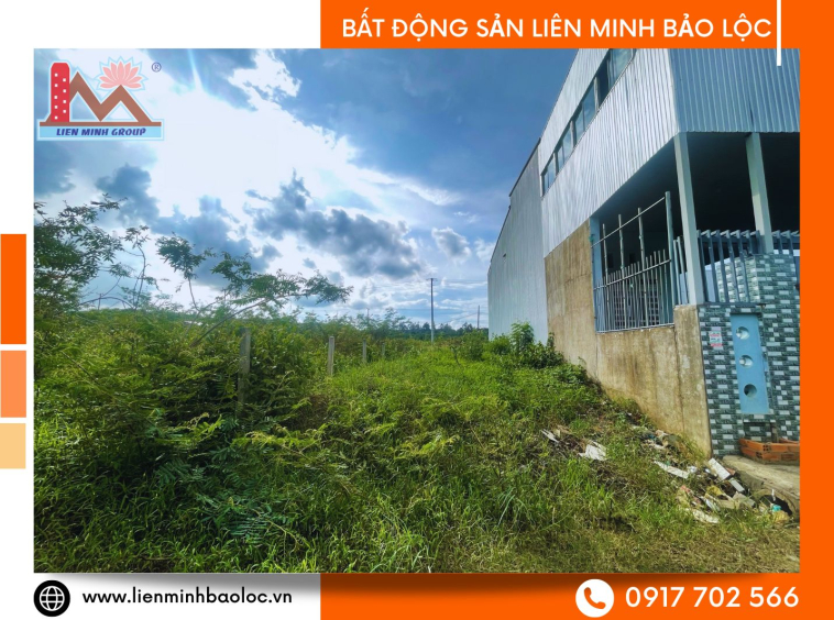 Bất động sản Bảo Lộc giá rẻ