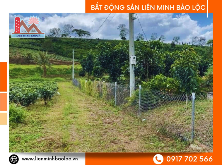 Bất động sản nghỉ dưỡng Bảo Lâm