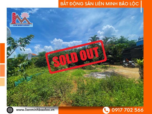 BLD1029-Bán Đất Huỳnh Thúc Kháng Phường 2 Bảo Lộc