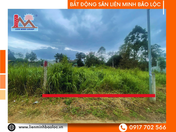 BLD1031-Bán Đất Đường 1/5 B'Lao Bảo Lộc