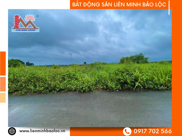 BLD1035-Bán Đất Nguyễn Đình Chiểu Lộc Phát Bảo Lộc