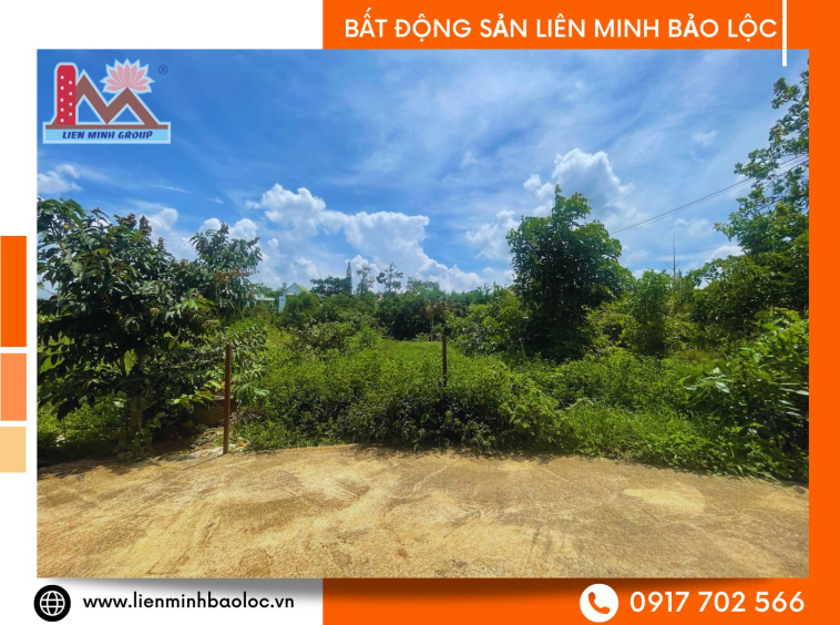 Bất động sản Bảo Lộc giá rẻ