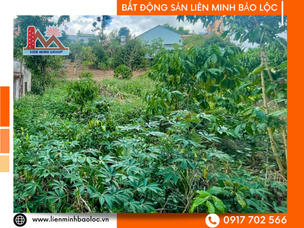 BLD868 Bán Đất Nền Nguyễn Công Trứ - Phường 2