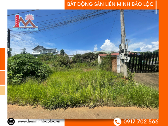 BLD1038 Bán Đất Mặt Tiền Dambri - Trần Quý Cáp