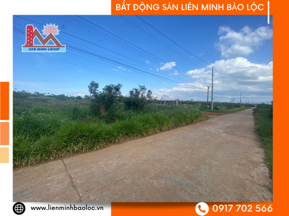 BLD884 Bán Đất Mặt Tiền Phường Lộc Phát