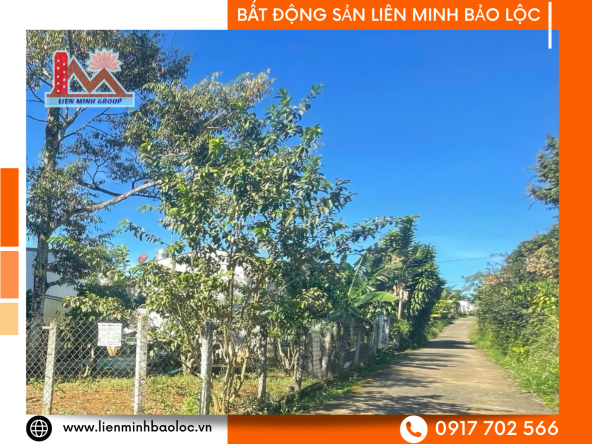 Đất Nền Phường B'Lao