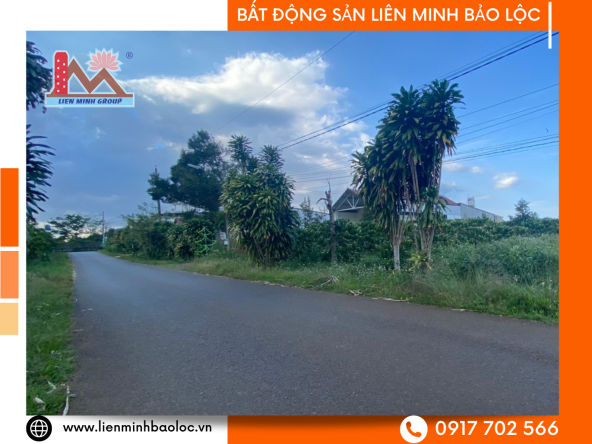 BLD877 Bán Đất Lộc Thanh - Mạc Thị Bưởi