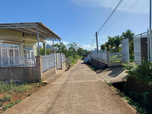 BLD869 Bán Đất Lê Phụng Hiểu - Lộc Châu