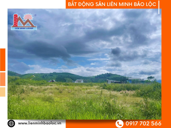 BLD1039-Bán Đất Đinh Công Tráng Lộc Châu Bảo Lộc