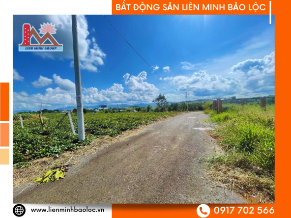 BLD1041-Bán Đất Thổ Cư Phường 2 Bảo Lộc