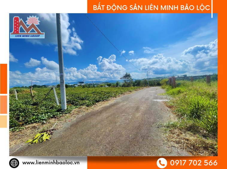 Mua bán nhà đất Bảo Lộc